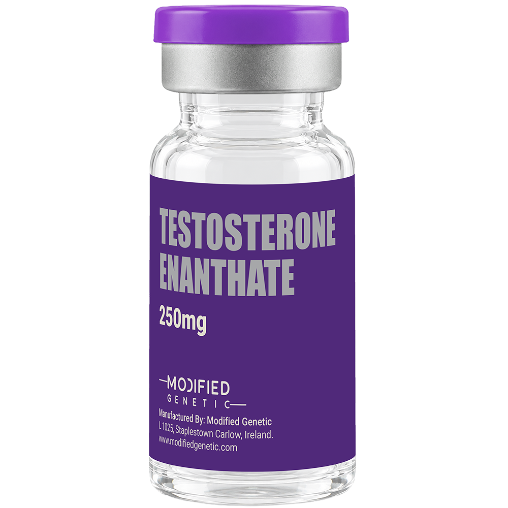 Testosterone Enanthate: Powerful long-ester injectable Testosterone for massive mass, power, and Recovery.